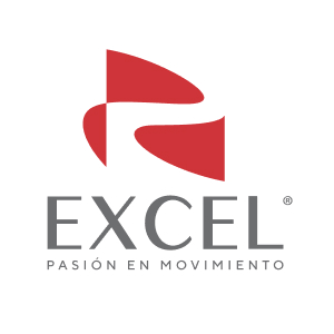 Logo Excel footer